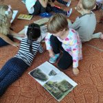 phoca_thumb_m_co dlaj veverky 14 Fotogalerie